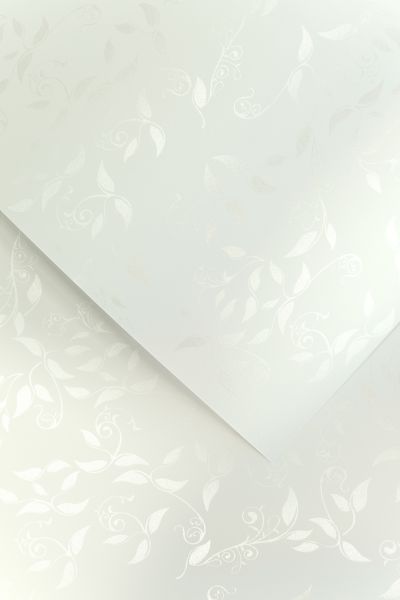 Galeria Papieru ozdobný papír Liana bílá 230g, 20ks