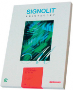 Fólie Signolit SC 50, A4/10 listů stříbrná